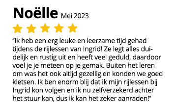 Review Noelle